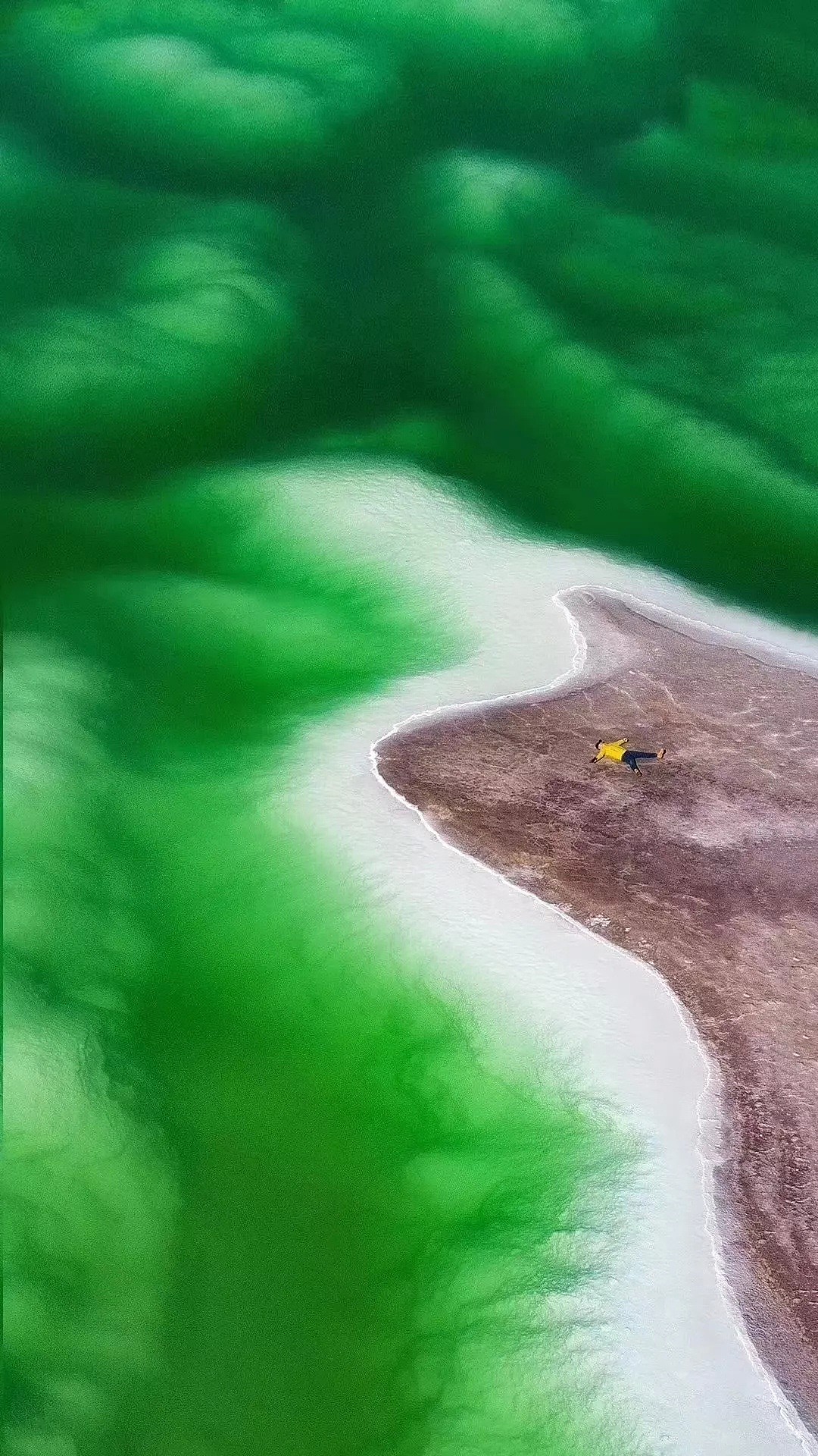 中国青海突然流出一批照片，全世界都惊呆了…(组图) - 3