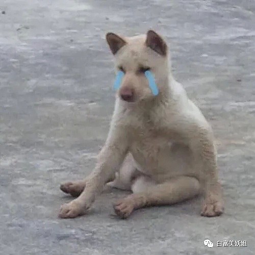 【扒皮】又一名媛翻车！自曝和冯绍峰恋情、伪造白富美身份一言难尽…（组图） - 25