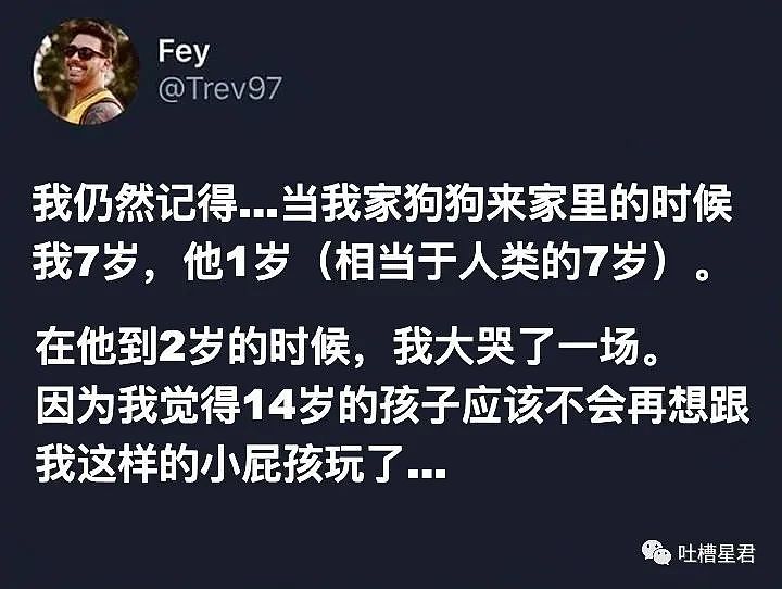 【爆笑】“偷偷当练习生，爸爸竟执意买下经纪公司？”网友：人生赢家我TM酸了…（组图） - 22