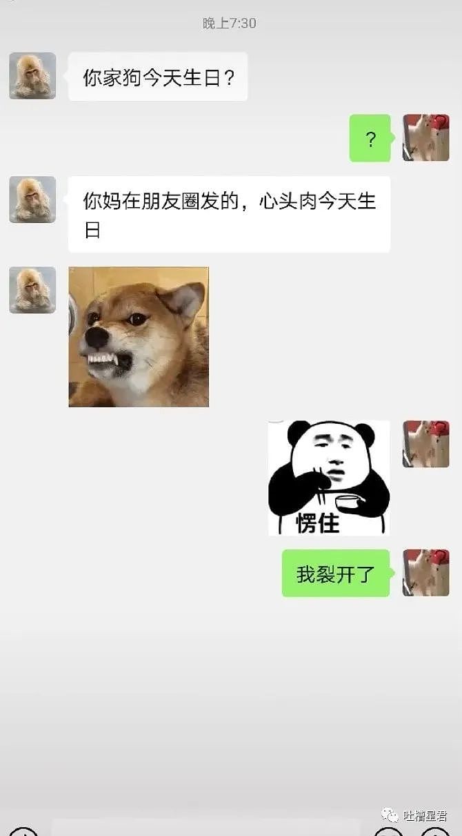【爆笑】“黄圣依，你是什么流氓？？”网友：难怪杨子这么宠妻哈哈哈哈…（组图） - 46
