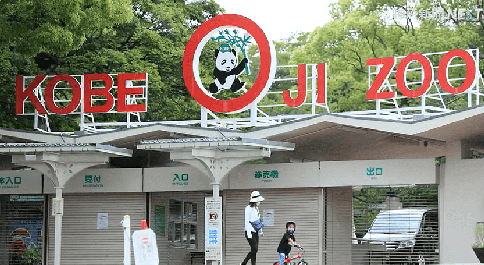 旅日20年大熊猫即将回国，日本人不想还了： 崽崽别走！（组图） - 1
