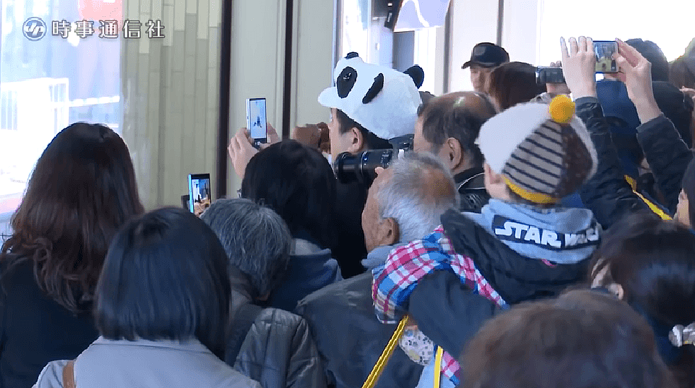 旅日20年大熊猫即将回国，日本人不想还了： 崽崽别走！（组图） - 31