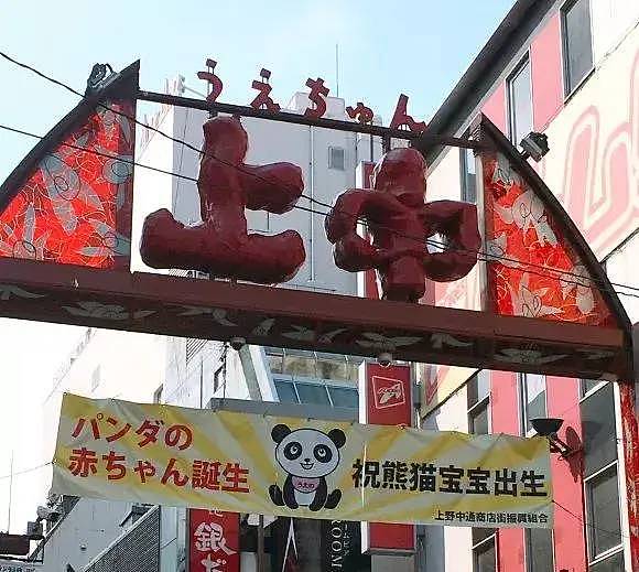 旅日20年大熊猫即将回国，日本人不想还了： 崽崽别走！（组图） - 35