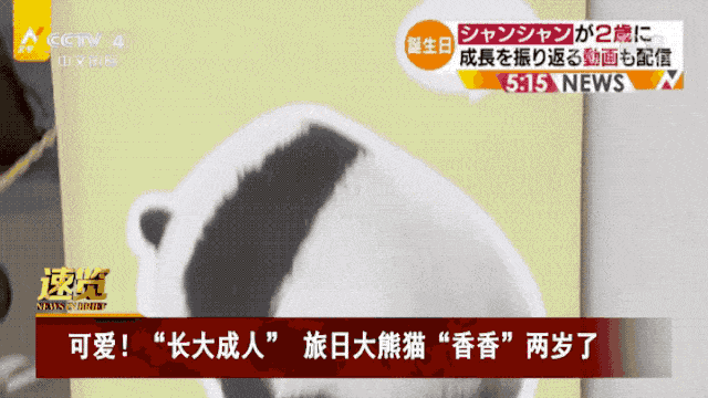 旅日20年大熊猫即将回国，日本人不想还了： 崽崽别走！（组图） - 39