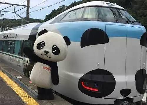旅日20年大熊猫即将回国，日本人不想还了： 崽崽别走！（组图） - 51