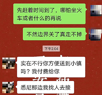 出大事！墨市航班抵悉尼，乘客未筛查全下机，4万人申请连夜离境，华人蜂拥逃出，国际航班恐有大变动 - 37