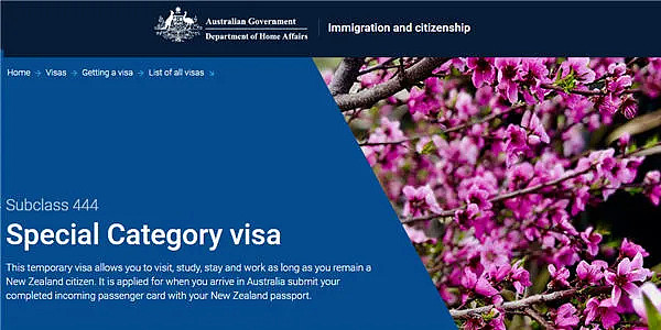 “对不起，新西兰已满员！”多家航司暂停订票；政府考虑游轮隔离 澳大利亚签证回流压力加增（组图） - 15