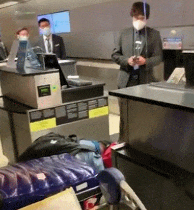 下跪求上飞机！中国夫妇在洛杉矶机场嚎啕大哭，疑健康码问题无法登机（视频/组图） - 2