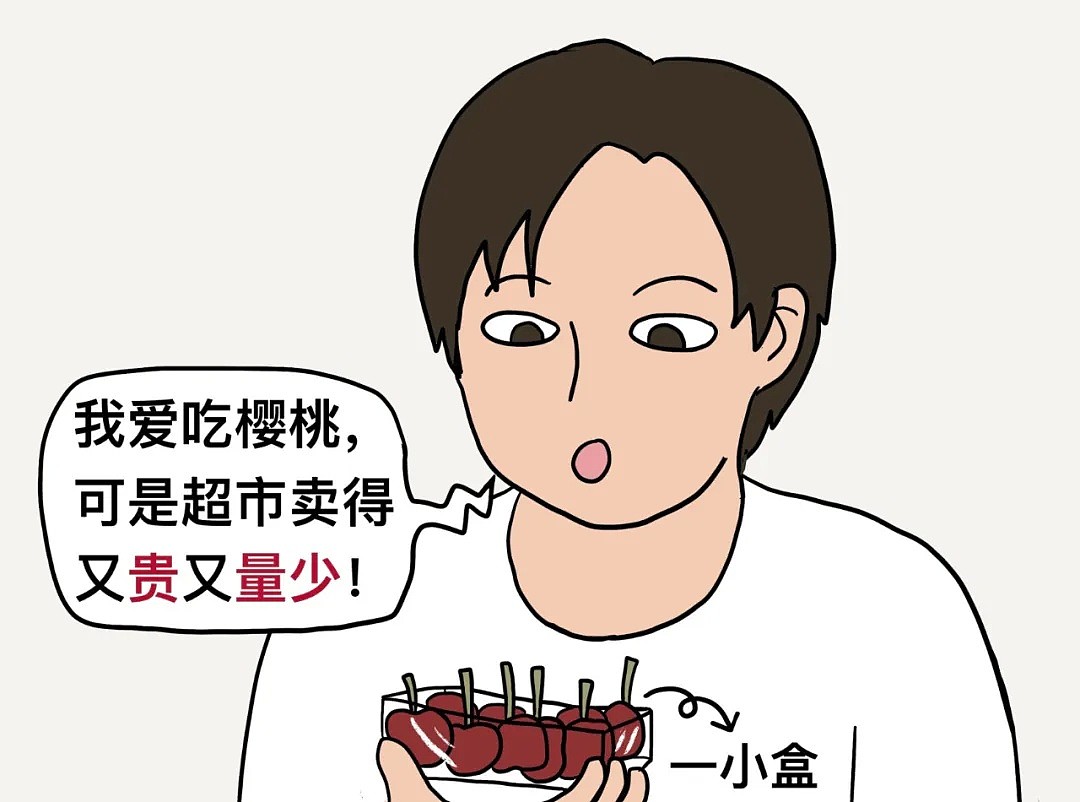 中国人在Costco的“惨痛”经历：“我的老天鹅！再也不想吃樱桃了…”（组图） - 29
