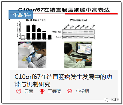 中国小学生研究基因与癌症关系拿大奖！5天学会专业知识，水平堪比博士（组图） - 20