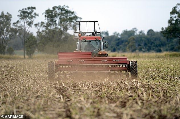 28738560-8520391-Victorian_barley_farmers_have_said_they_are_on_track_for_a_bumpe-a-1_1594710120634.jpg,0