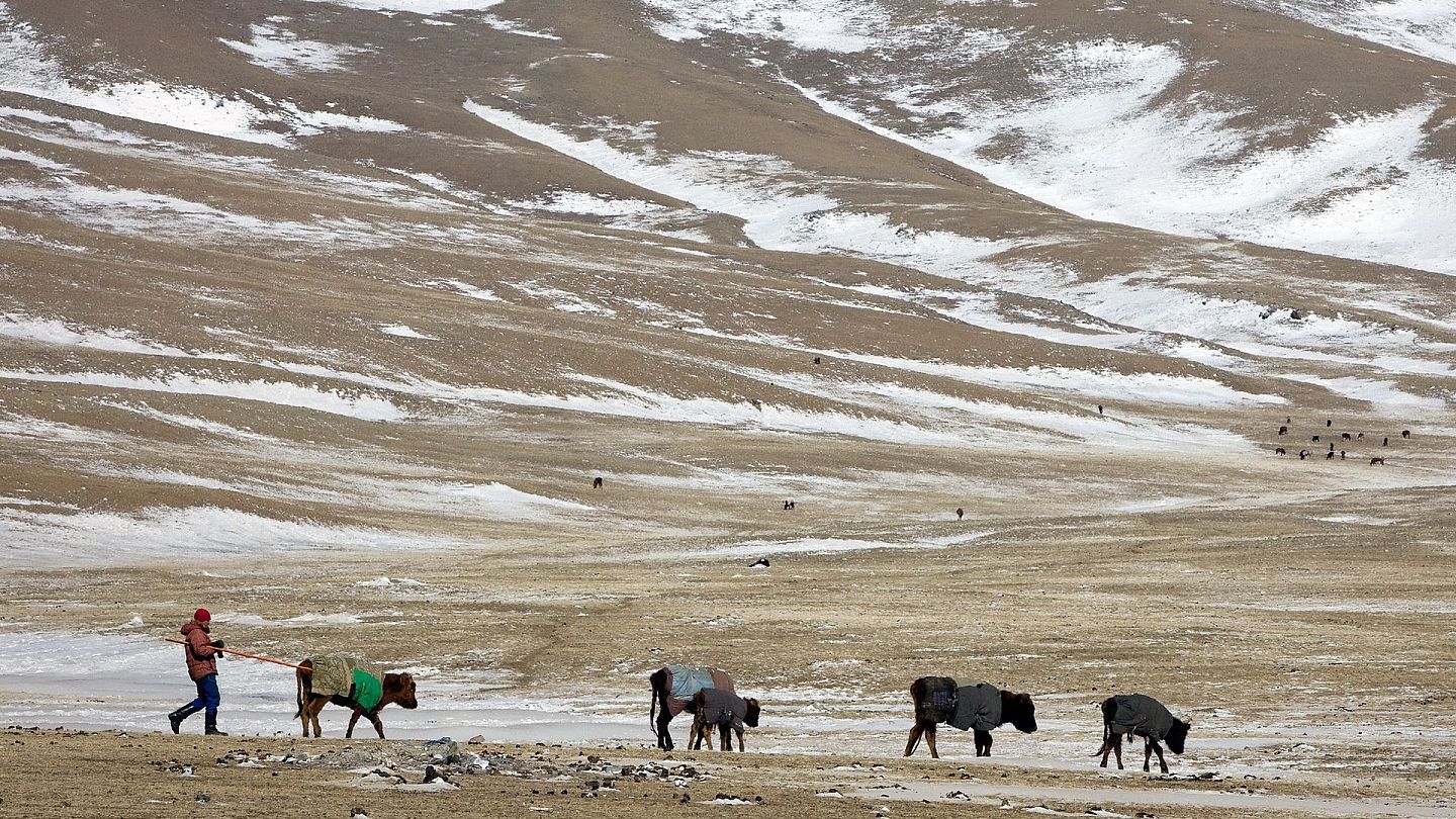 蒙古国一名少年于2020年7月12日死于鼠疫。图为2010年3月8日，蒙古国中央省一名牧民正在放牧。（Getty）