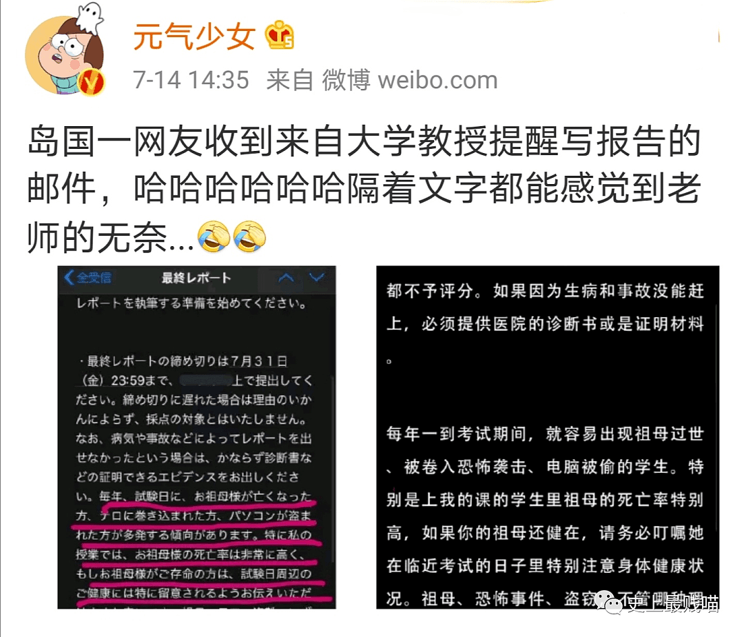 【爆笑】网上遇到憨憨男聊骚，妹子这波反操作绝了哈哈哈哈哈哈！（组图） - 37