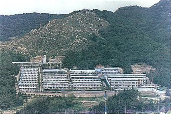 数千人遭囚禁，513人被虐杀：这个福利院，揭开韩国现代史最野蛮的一面（组图） - 10