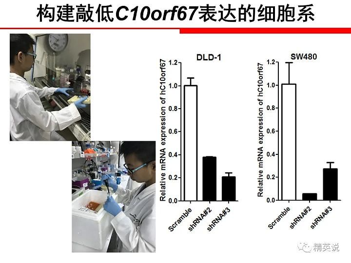 家长道歉！官方打假医学“神童”：5天弄懂基因、水平堪比博士，黑幕到底有多深？ - 9