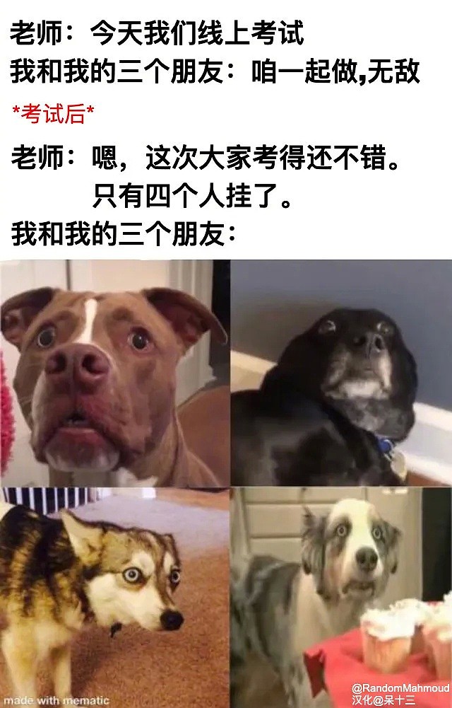 【爆笑】“房东：你真的不是个人”哈哈哈哈哈哈哈社畜租房内心写照（组图） - 20