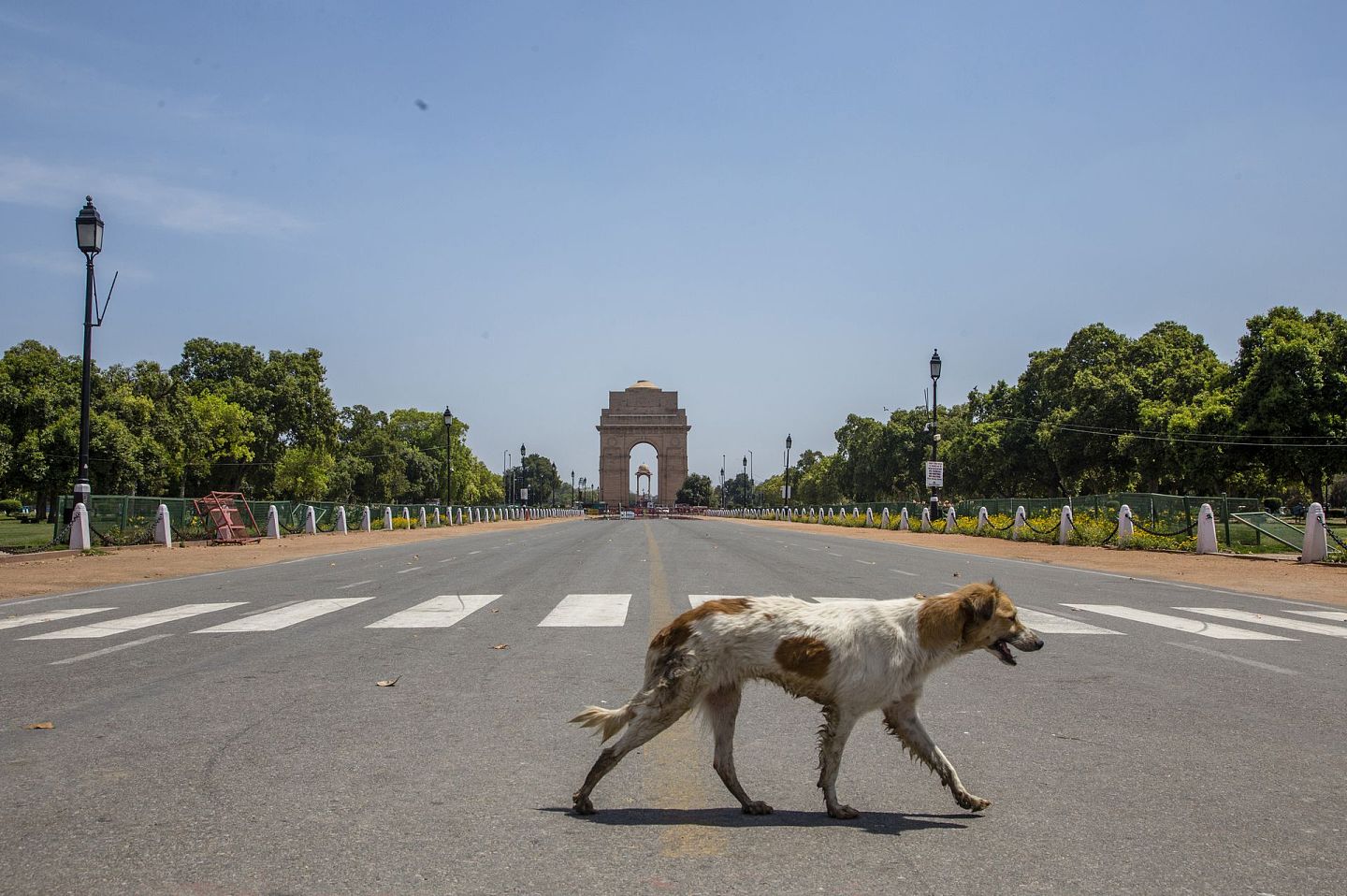 3月25日起，印度进入长达21天的全国性封锁期。图为印度首都新德里（New Delhi）的街道。（GettyImages）