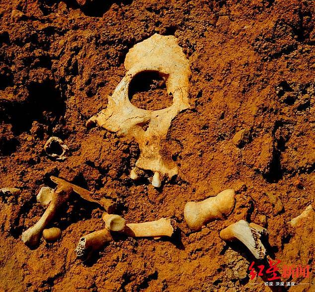 山西发现疑似长平之战尸骨坑：尸骨曾被收购做饲料 现拟建国家文化公园
