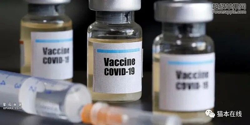 新冠疫苗进入人体试验阶段，澳政府全力支持，优先派发1亿支给民众免费注射（组图） - 6