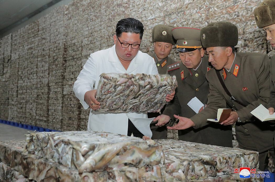 去年11月国家媒体发布的照片中，朝鲜领导人金正恩参观鱼类加工厂。