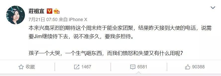 成都美总领事夫人爆红！华裔女作家，爱吃川菜，曾街头卖艺，今微博被骂惨（组图） - 24