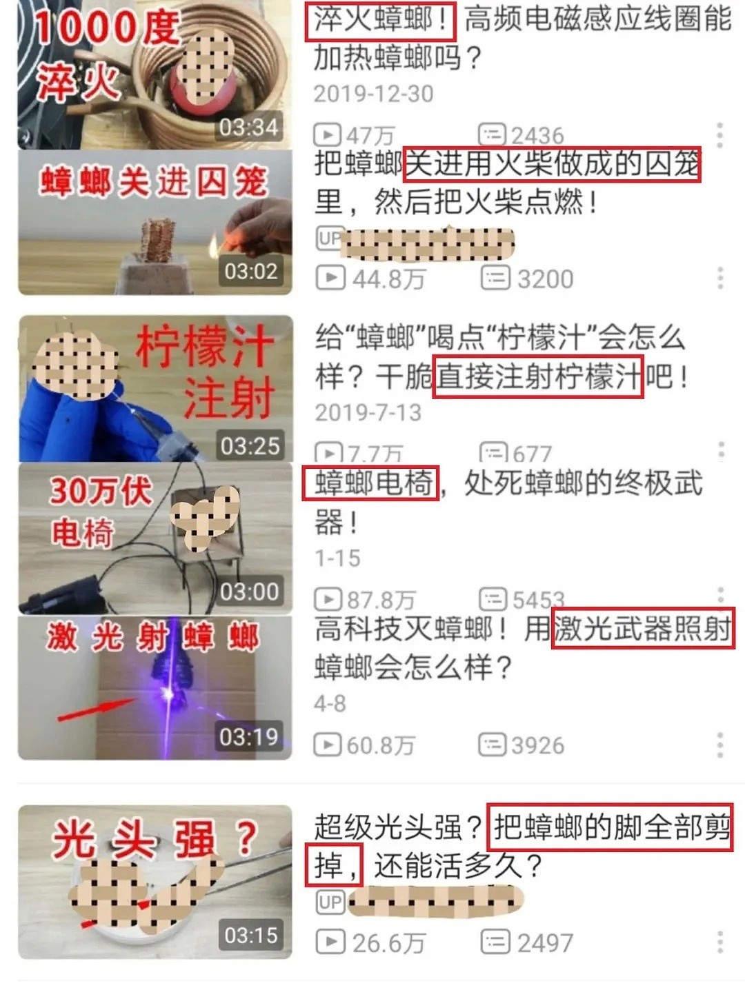 直播虐杀、肢解食尸...虐猫上瘾后，他把刀指向了中国留学生（组图） - 6