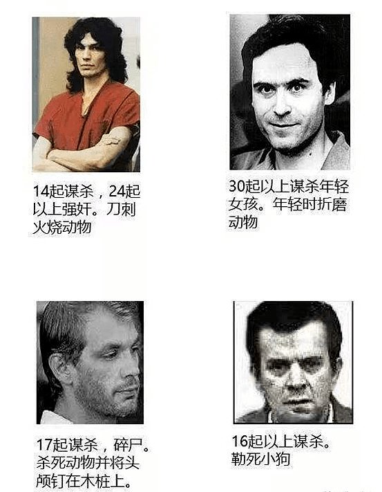 直播虐杀、肢解食尸...虐猫上瘾后，他把刀指向了中国留学生（组图） - 23