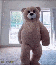 【爆笑】性感扭臀、下腰、抖胸、顶胯......难以置信我竟然对一头「熊」心动了！（视频/组图） - 7