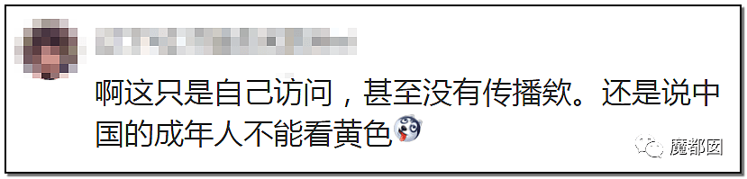 翻墙违法！中国男子因为翻墙浏览境外成人网站被行政处罚（组图） - 8