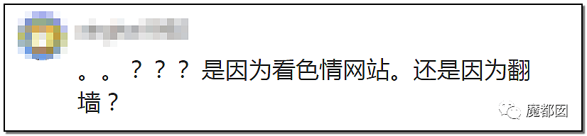 翻墙违法！中国男子因为翻墙浏览境外成人网站被行政处罚（组图） - 23