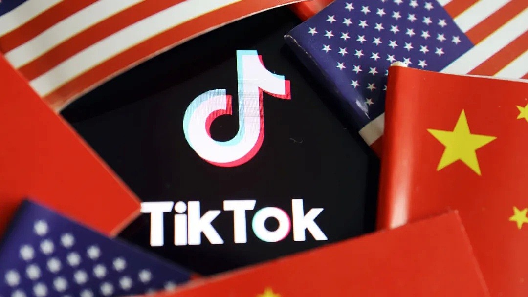 日本议员建议禁用TikTok，称其泄露个人信息！日本网友慌了：我的快乐源泉啊（组图） - 8