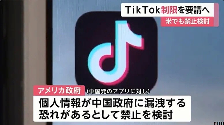 日本议员建议禁用TikTok，称其泄露个人信息！日本网友慌了：我的快乐源泉啊（组图） - 11