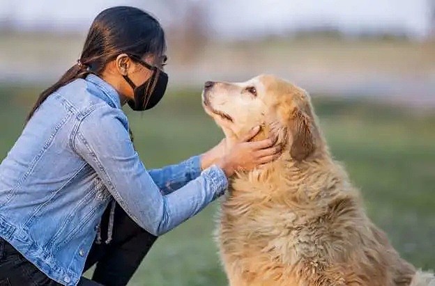 厉害了！ 研究显示 狗狗能嗅出新冠病毒 准确率94% 以后出门带狗保平安?（组图） - 1