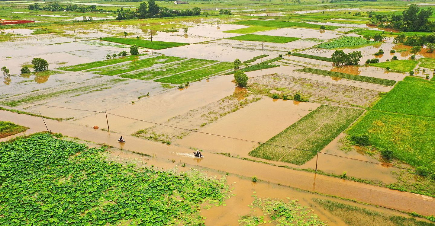6月以来的南方水灾导致大量农田被淹、绝收。图为6月6日中国江西省吉安市泰和县的稻田被浸泡在水中。（视觉中国）