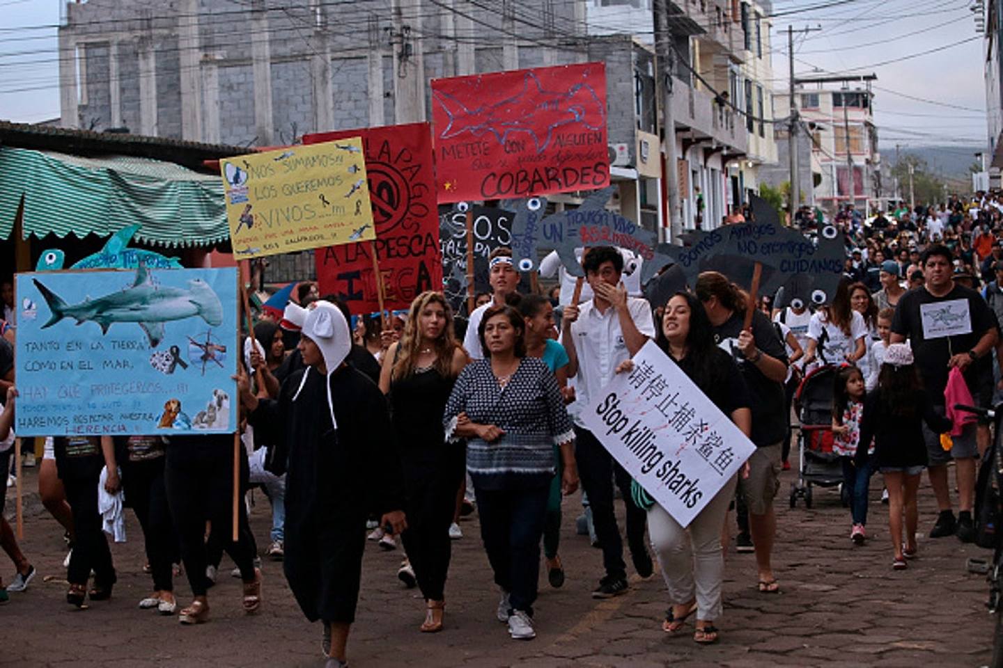 2017年中國漁船事件曾引發厄瓜多爾居民接連抗議，有民眾發起為鯊魚「守喪三日」的大規模遊行。（Getty Image）