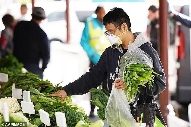 澳洲果蔬价格恐暴涨60%！疫情影响超市供应，黄瓜、茄子比肉贵（组图） - 3