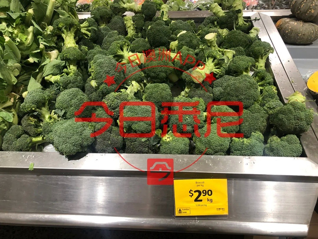 澳洲果蔬价格恐暴涨60%！疫情影响超市供应，黄瓜、茄子比肉贵（组图） - 34