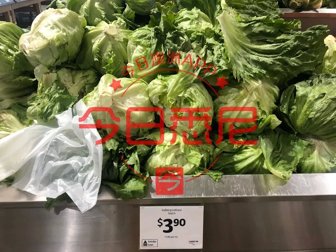澳洲果蔬价格恐暴涨60%！疫情影响超市供应，黄瓜、茄子比肉贵（组图） - 36