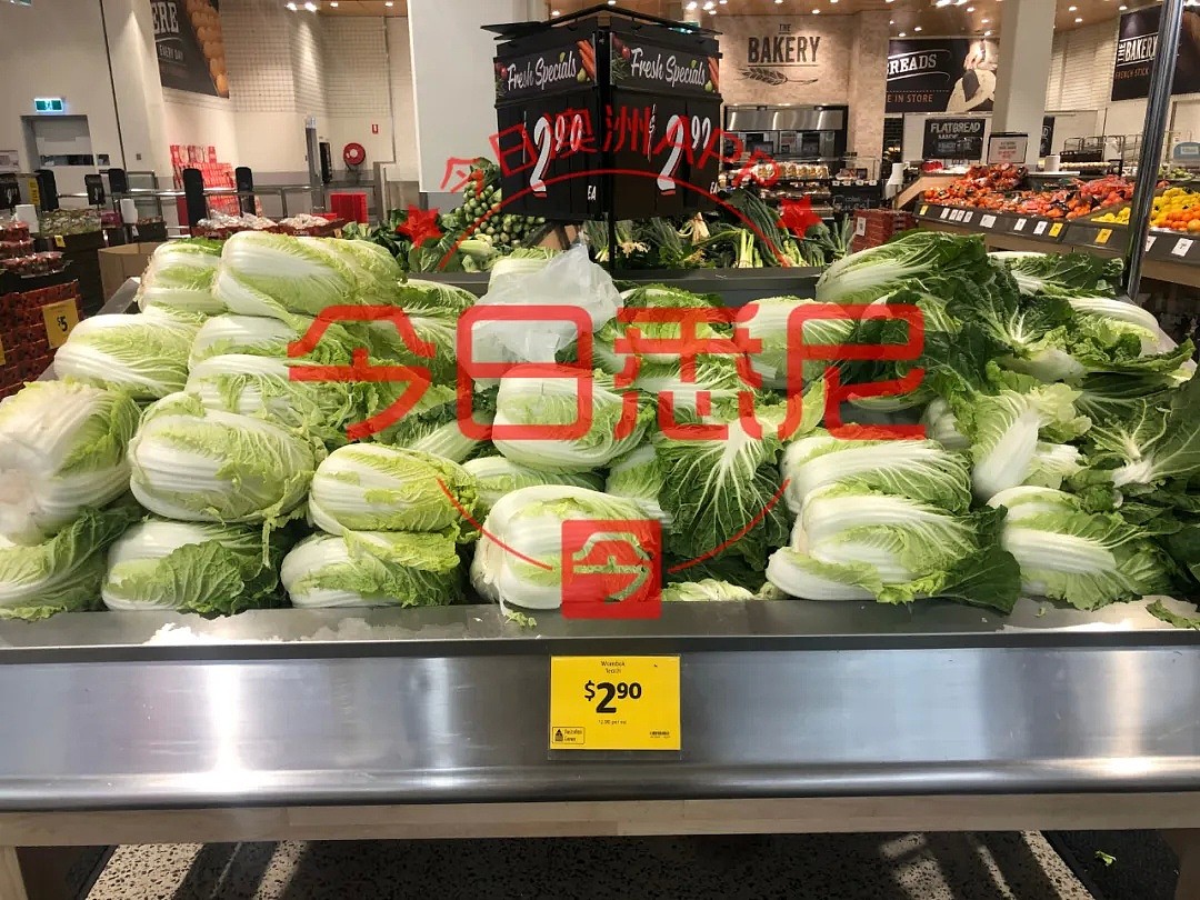 澳洲果蔬价格恐暴涨60%！疫情影响超市供应，黄瓜、茄子比肉贵（组图） - 38
