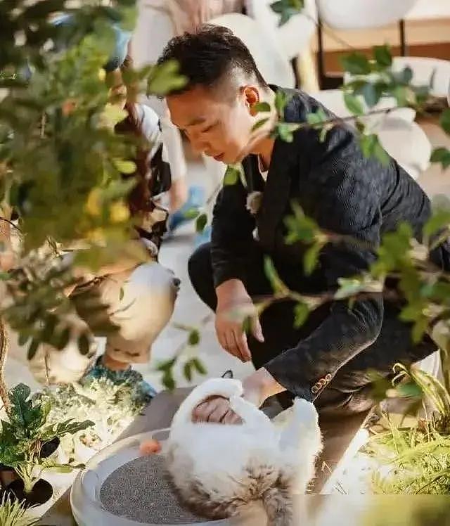 2000年，康辉娶了师妹刘雅洁，结婚20年没孩子，只能养猫缓解孤独（组图） - 2