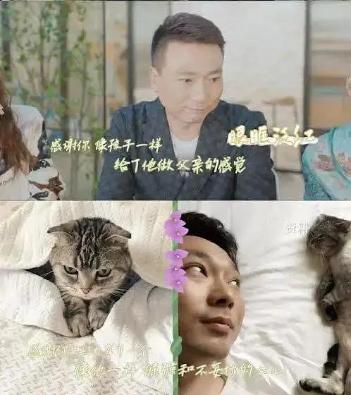 2000年，康辉娶了师妹刘雅洁，结婚20年没孩子，只能养猫缓解孤独（组图） - 13