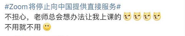 维州防疫最大漏洞终被封死！Zoom将停止向中国提供直接服务，网课何去何从（组图） - 13