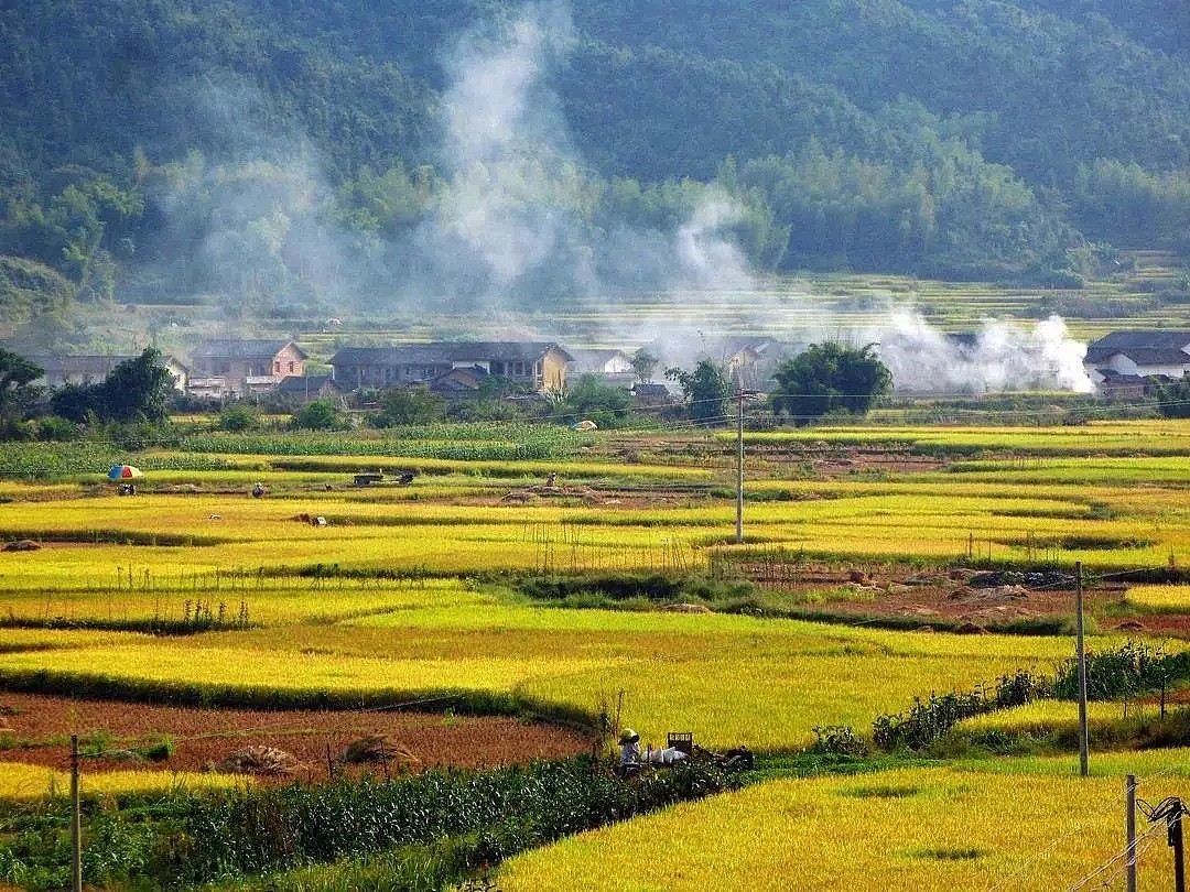 广东的两副面孔：一面富得流油，一面穷得离谱（组图） - 2