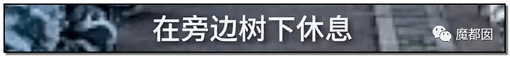 湖南高一男生军训被活活热死引发争议！军训到底该如何搞？（组图） - 40