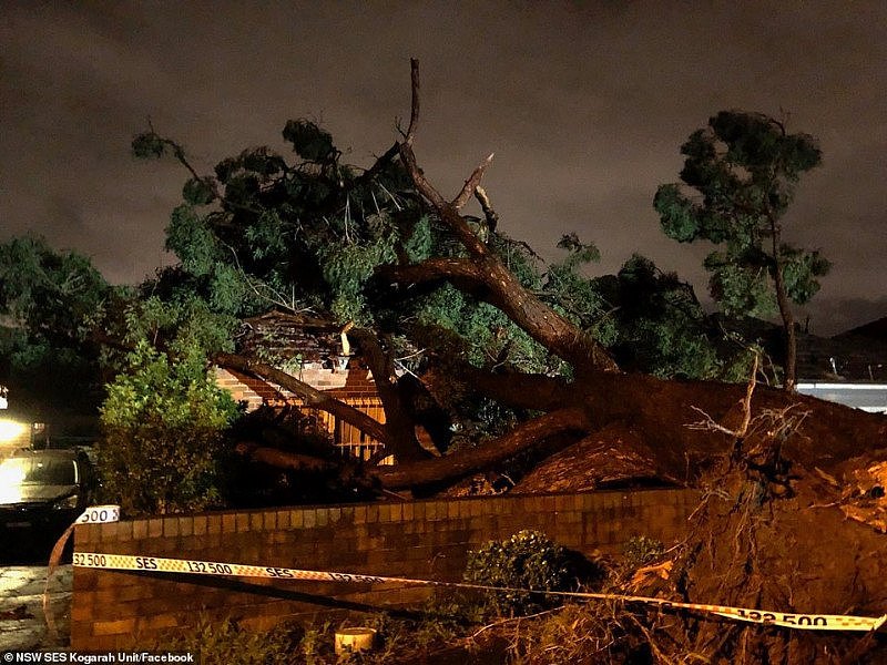 31751540-8610183-Wild_weather_in_Kogarah_in_southern_Sydney_tore_a_tree_out_of_th-a-16_1597021592977.jpg,0