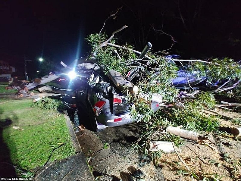 31755254-8610183-A_car_is_pictured_crushed_by_a_fallen_tree_in_Hurstville_in_Sydn-a-14_1597021592824.jpg,0