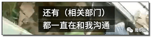 猪肉货车出事，近7吨猪肉惨遭老百姓疯狂哄抢，连车门都不放过！货主撕心裂肺哀求也没用（组图） - 50