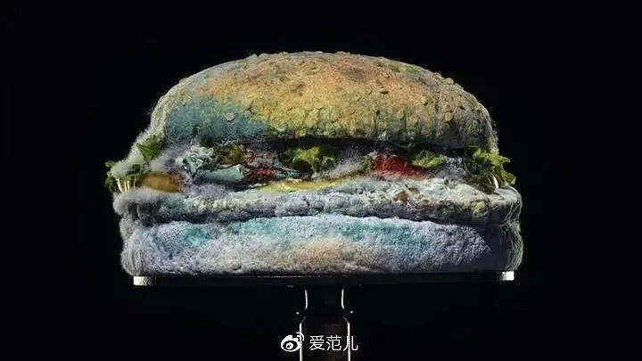 麦当劳汉堡王包装中检出致癌物！金拱门：中国地区的不含该物质，请大家放心（组图） - 13