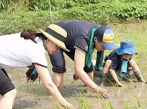 体操皇后刘璇二胎得女，豪门老公背景曝光，她竟比郭晶晶嫁得还好？ （组图） - 27