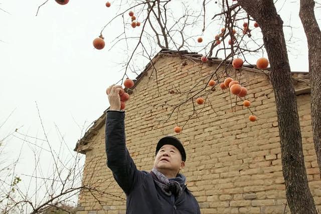 央视神仙纪录片刷屏：人人都要大房子，但没想过灵魂也需要一栋房